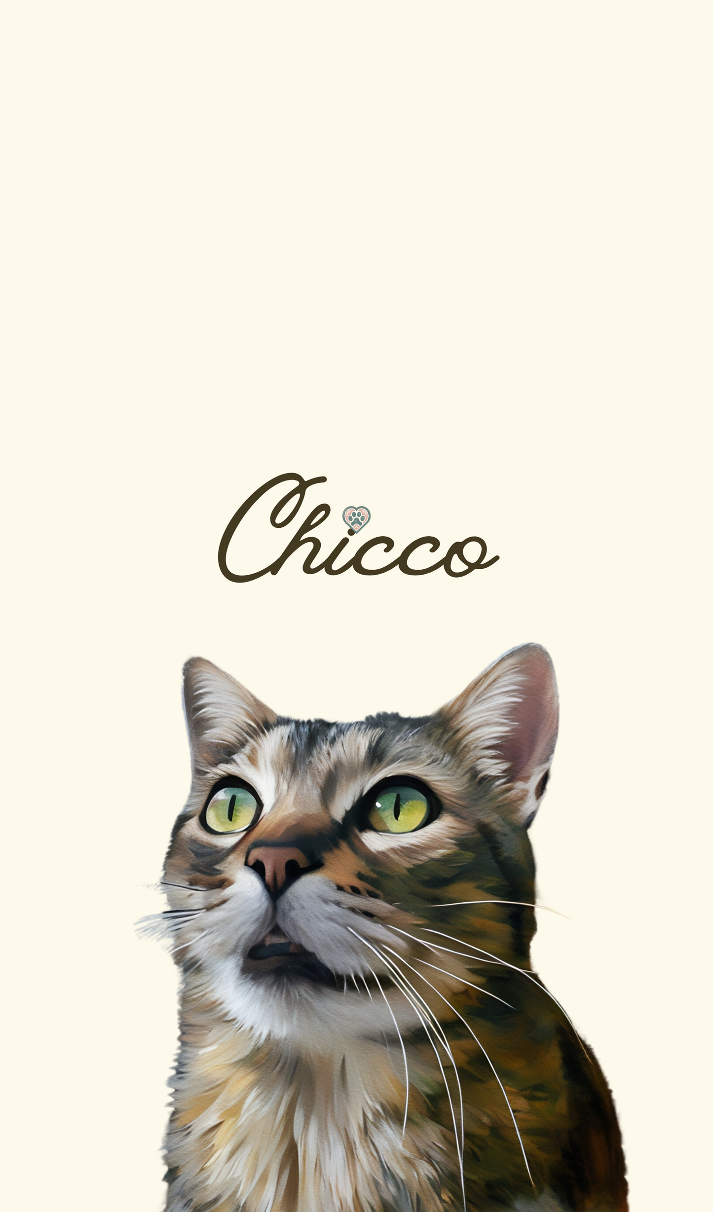 "Personalized" Phone Case with Cat in Painted Style for Iphone, Samsumg, Huawei, Xiaomi, Google Pixel, Oneplus