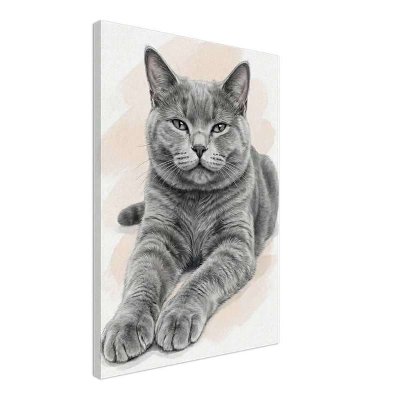 5423e953-c01d-45cb-9fe1-c3e5642ce0c0